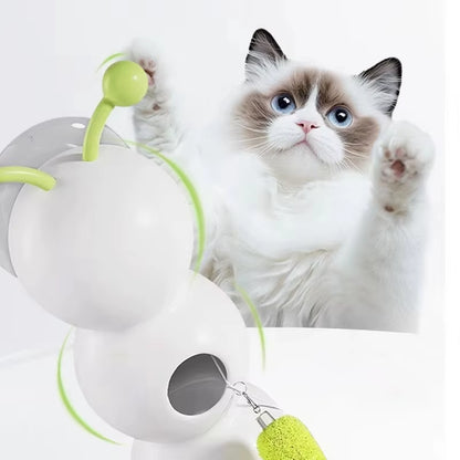 Engaging Caterpillar Interactive Cat Toy - Motion Activated Wack a Worm for Endless Fun & Activity!