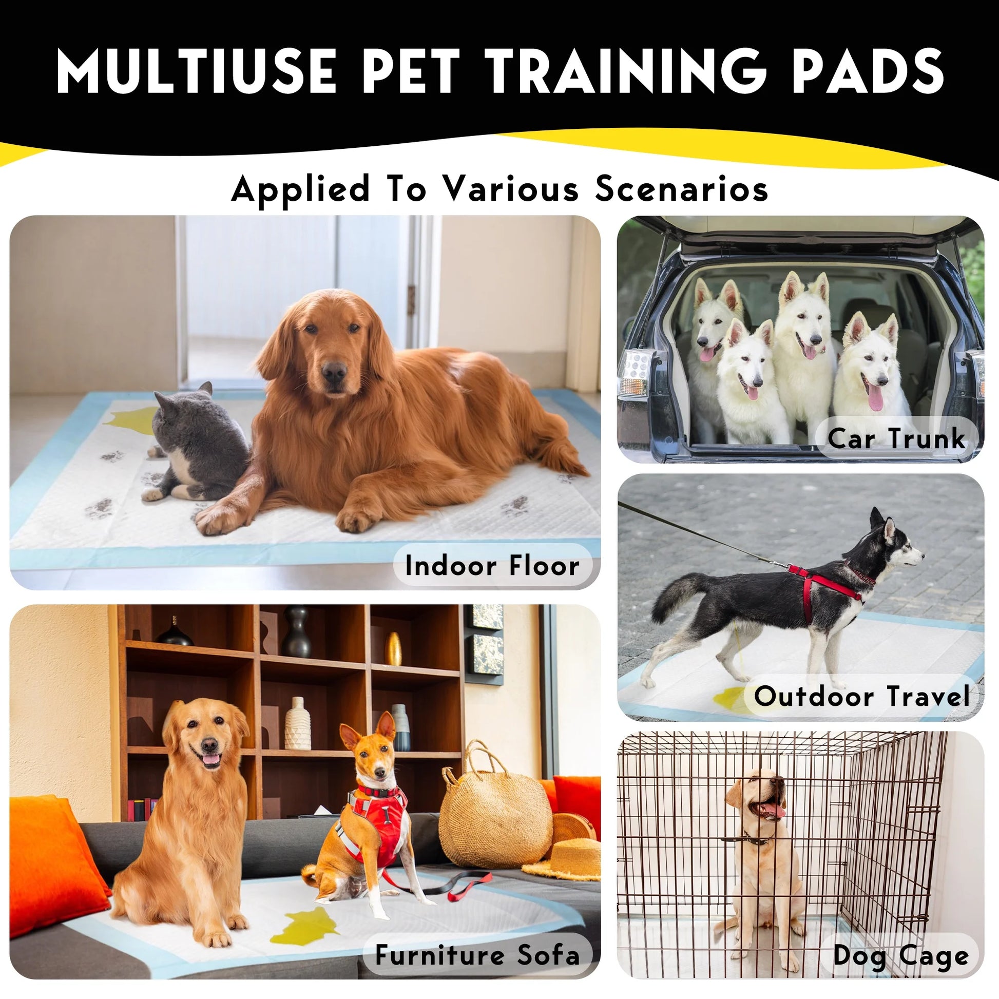 Dog Training Pads, XXL, 30 in X 36 In, 100 Count Disposable Dog Puppy Pee Pads