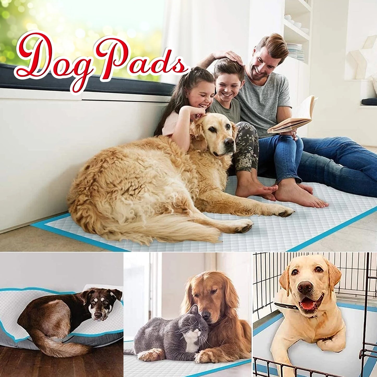 Dog Training Pads, XXL, 30 in X 36 In, 100 Count Disposable Dog Puppy Pee Pads